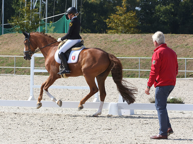 Reiter auf Pferd