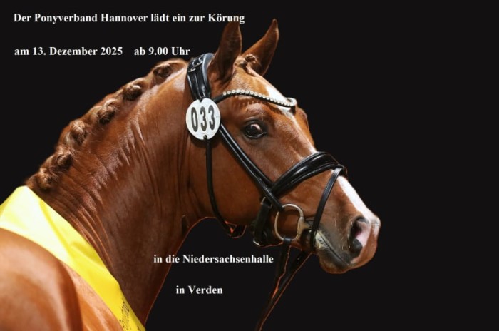 Ponyverband Hannover lädt zur Körung am 13. Dezember 2025