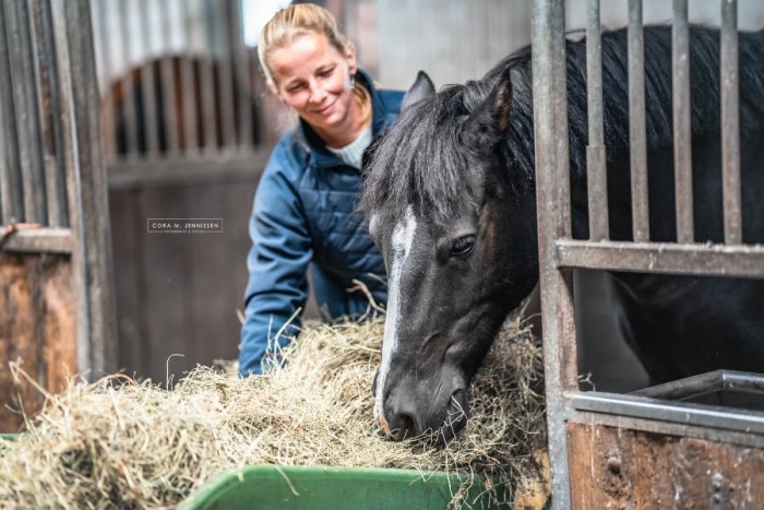 Bundesvereinigung der Berufsreiter: Zwei neue Online-Seminare