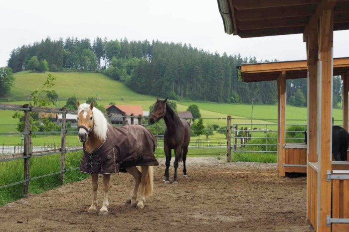 Stall des Jahres: Bewerbungsphase gestartet