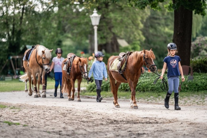 Neue Termine Aus- und Fortbildung: Bundesvereinigung der Berufsreiter