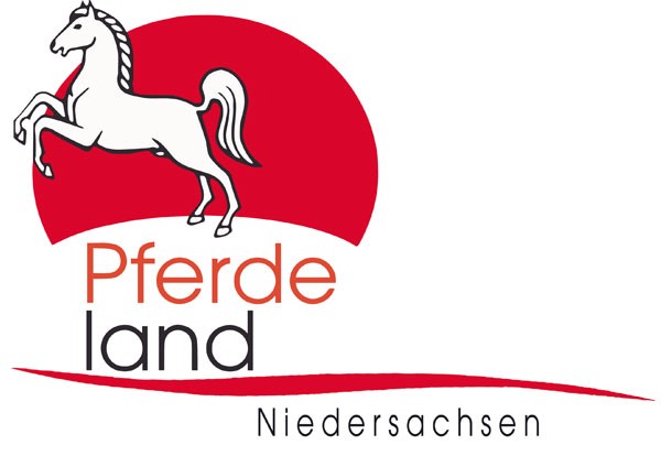 Umfrage online: Pferde in der Schule und im Kindergarten?!