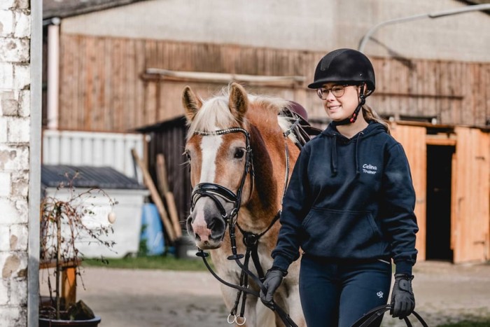 100 Schulpferde plus: Gewinner der sechsten Förderrunde stehen fest