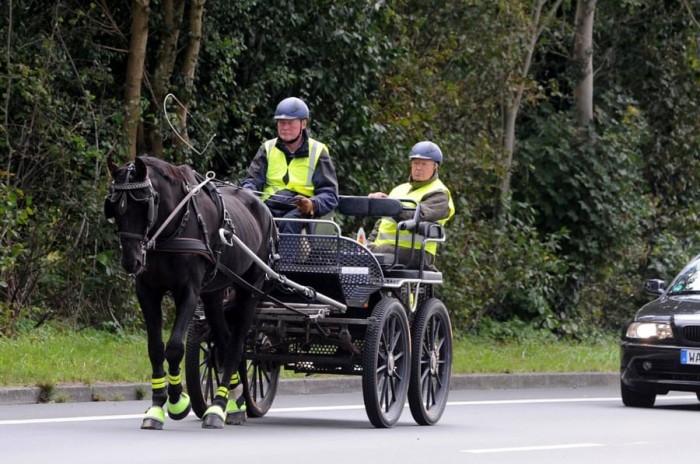 Trainer C Fahren: Noch Lehrgangs-Plätze frei