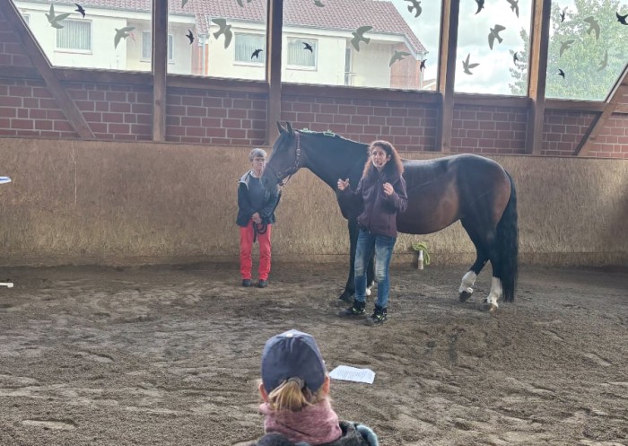 Einladung zum Fachtag Therapeutisches Reiten am 26. Mai 2026