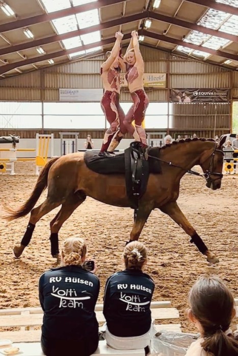 PSV-App: Bericht vom WBO Voltigier-Turnier Hülsen online