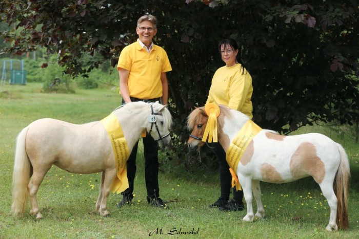 Staatsprämienauswahl 2026 des Ponyverbandes Hannover in Adelheidsdorf
