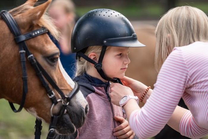 BBR: Kindgerechter Unterricht - Erlebniswelt Pony für Kinder gestalten