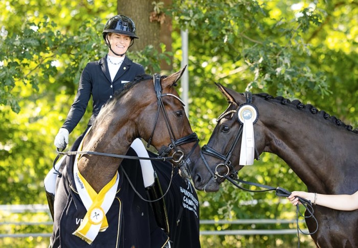Gefeierte Hannoveraner Reitpferdechampions 2026