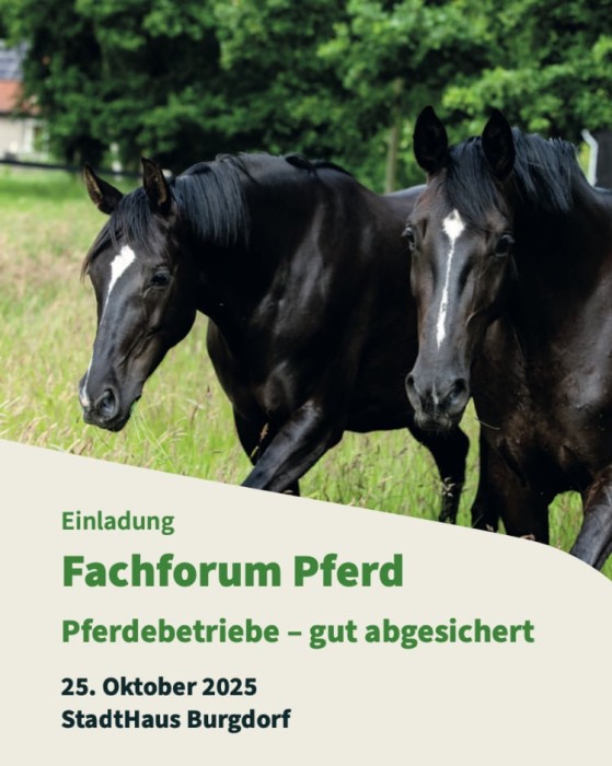 Sicherheit im pferdehaltenden Betrieb – Risiken erkennen, Lösungen finden